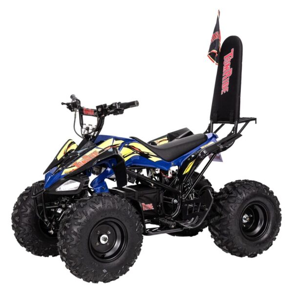 TomRide TR290 60V  Kinder Elektro Quad 2024 – Bild 3