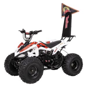 Tom Ride Tr 290 48V 2024 Kinder Elektro quad