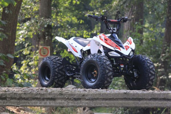 TomRide TR290 60V  Kinder Elektro Quad 2024 – Bild 10