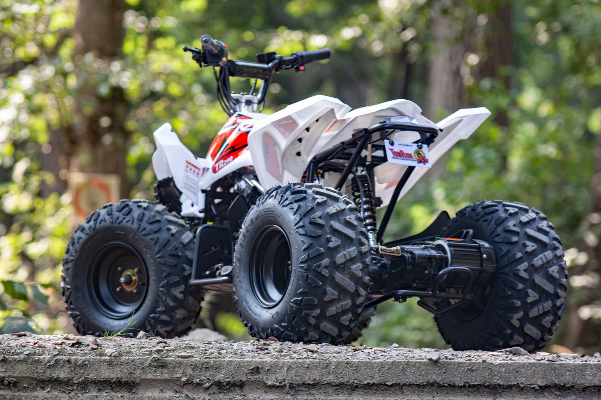 Tr290 electric quad cheap