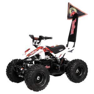 TomRide TR240 2023 Elektro Kinder Quad