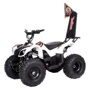 Tom Ride TR 280 2023 Kinder Elektro Quad